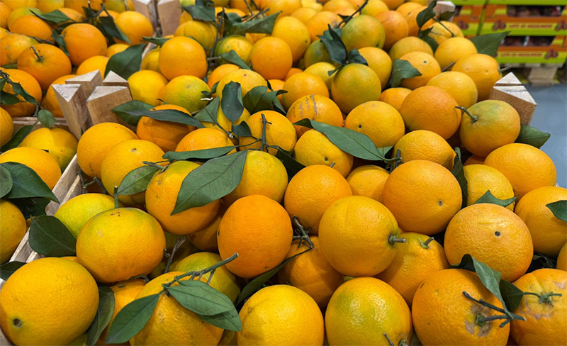 Arance Navel - Sicilia - 1,00 euro al chilogrammo